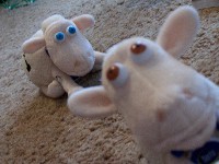 fluffy sheep